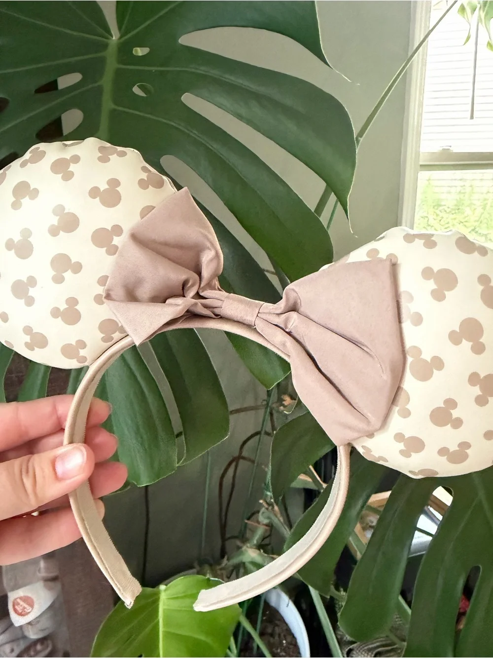 Disney ears